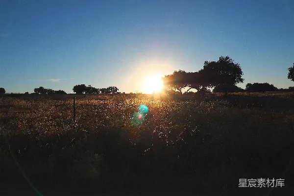 高清摄影 夕阳下的宁静田野
