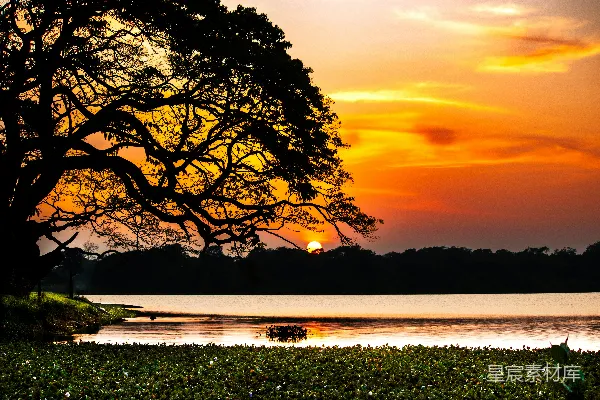 高清摄影 夕阳下的宁静湖畔