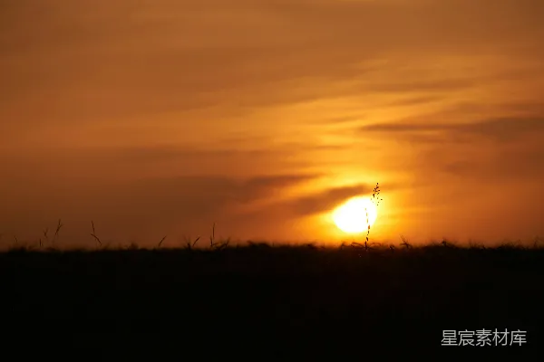 高清摄影 夕阳下的麦田