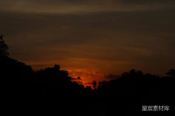 高清摄影 夕阳下的森林剪影