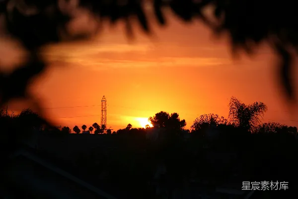 高清摄影 夕阳透过树梢