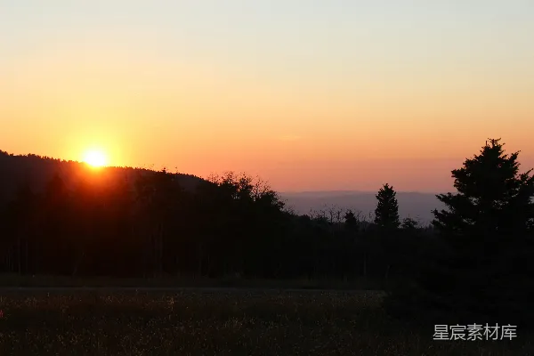 高清摄影 夕阳下的森林