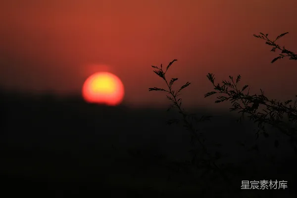 高清摄影 夕阳下的剪影