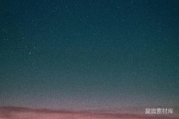 高清摄影 夜空下的椰树剪影