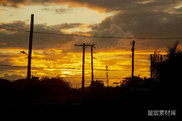 高清摄影 夕阳下的电线杆剪影