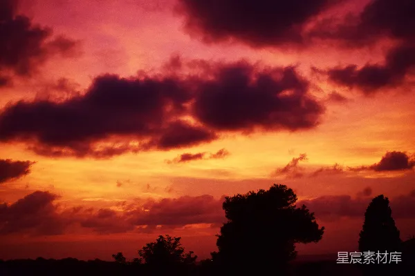 高清摄影 夕阳下的云彩与树影