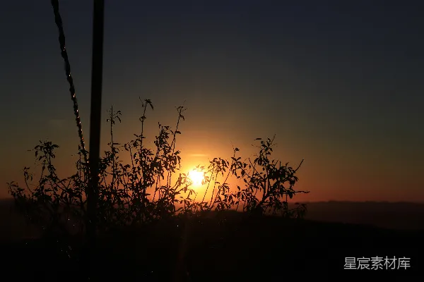 高清摄影 夕阳下的剪影