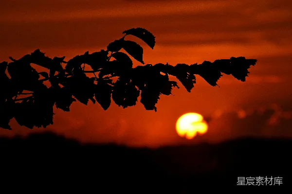 高清摄影 夕阳下的剪影