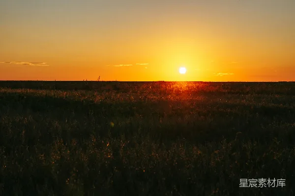高清摄影 夕阳下的田野