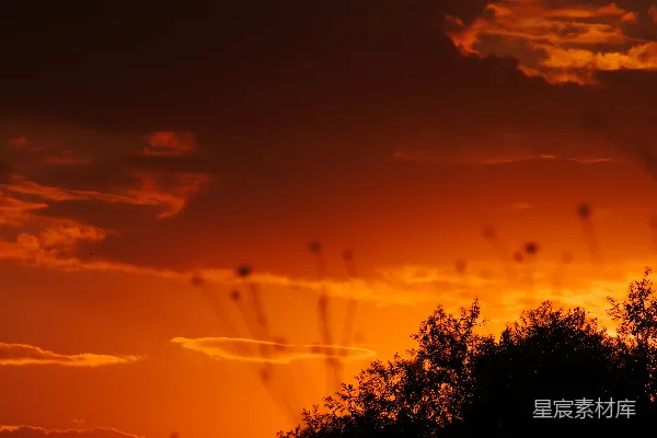 高清摄影 夕阳下的自然剪影