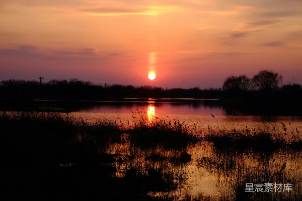 高清摄影 夕阳下的湿地