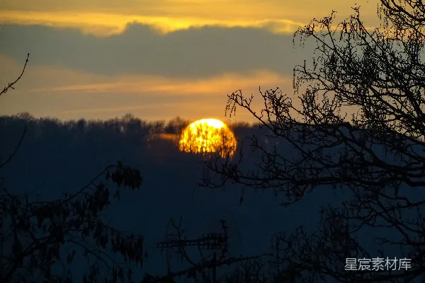 高清摄影 夕阳下的树影