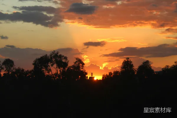 高清摄影 夕阳西下，云海与树影的交响