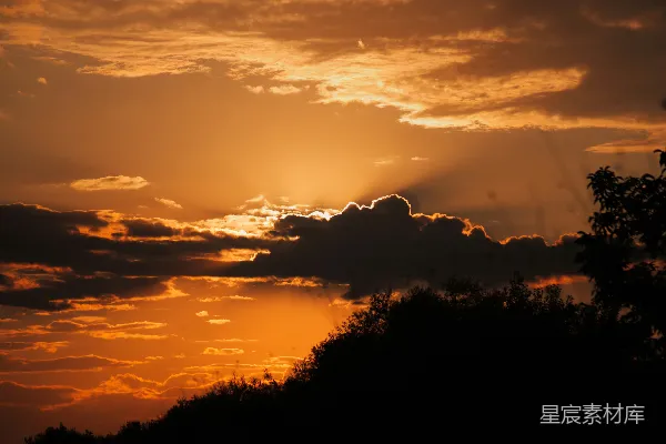 高清摄影 夕阳下的云彩与树影