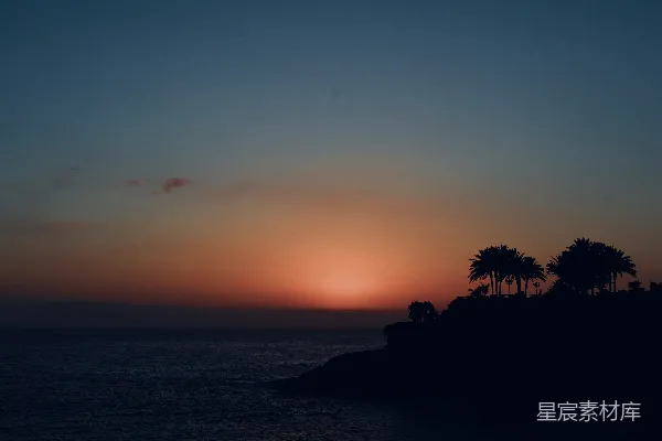 高清摄影 日落时的海滩与棕榈树剪影