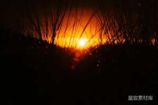 高清摄影 金光穿透草丛的夕阳
