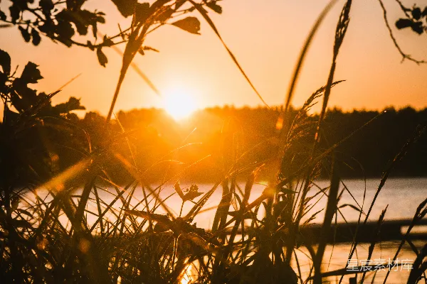高清摄影 夕阳下的湖畔