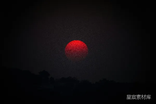 高清摄影 红日与夜的交响