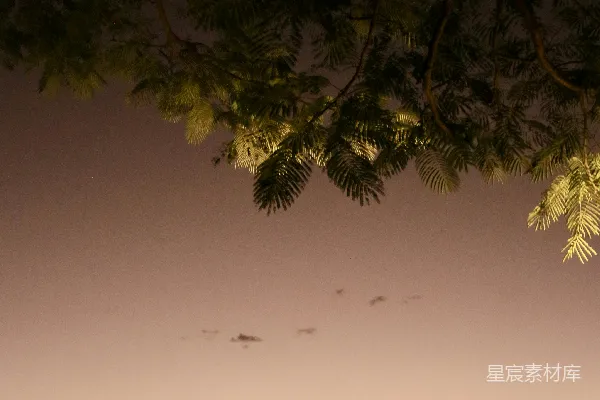 高清摄影 夜幕下的宁静湖景
