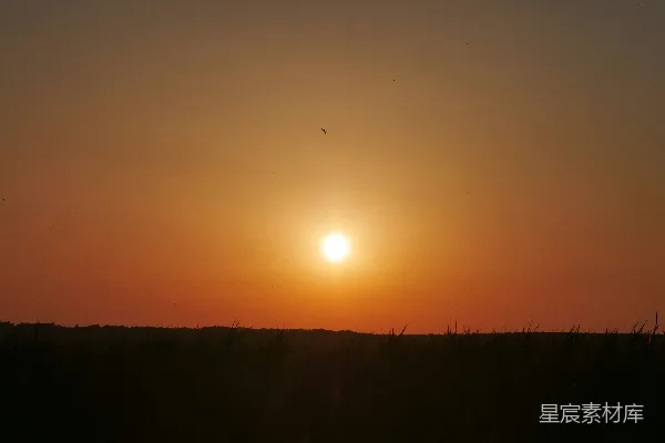 高清摄影 夕阳下的田野