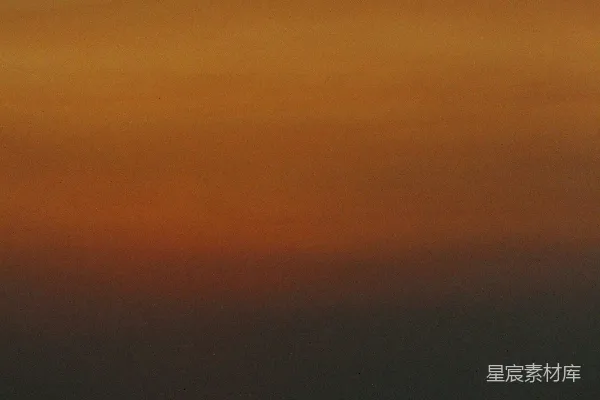 高清摄影 夕阳映照下的森林剪影