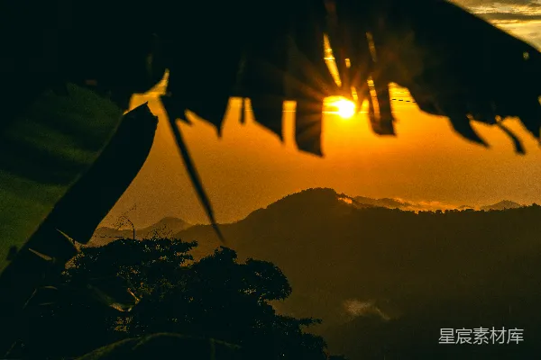 高清摄影 日落山景与树叶剪影