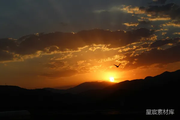 高清摄影 夕阳下的飞行
