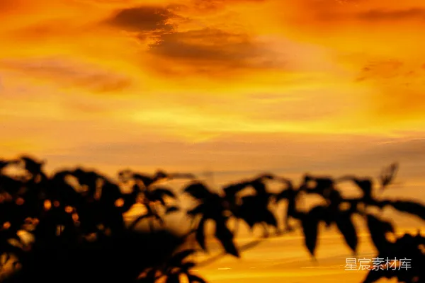 高清摄影 夕阳下的城市剪影