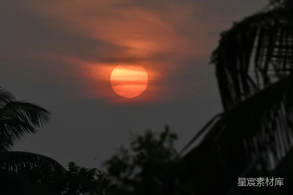 高清摄影 夕阳下的城市剪影