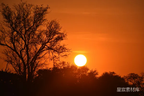 高清摄影 夕阳下的剪影