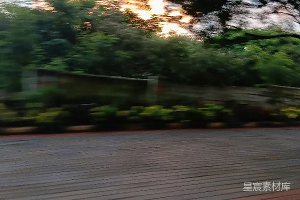 高清摄影 夕阳透过树林的瞬间