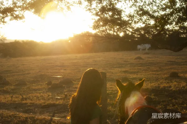 高清摄影 夕阳下的马背骑手