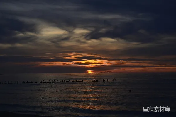 高清摄影 黄昏的海景：日落与海鸥