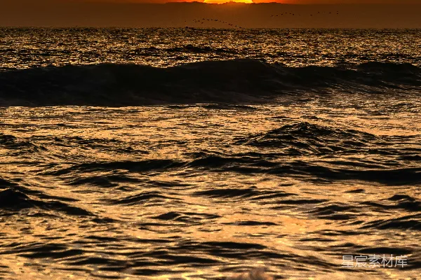 高清摄影 夕阳下的海浪
