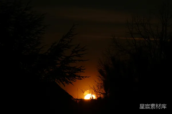 高清摄影 夕阳西下，树木剪影