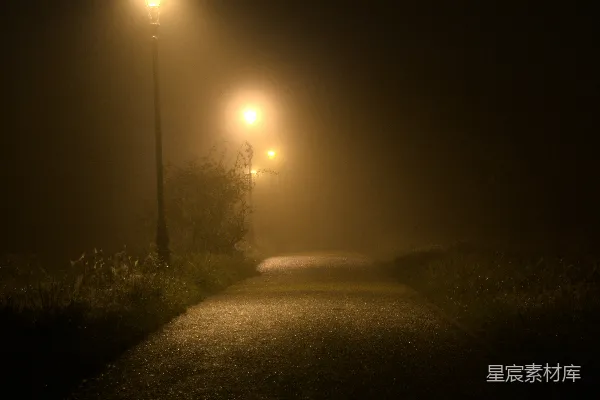 高清摄影 雾夜中的路灯