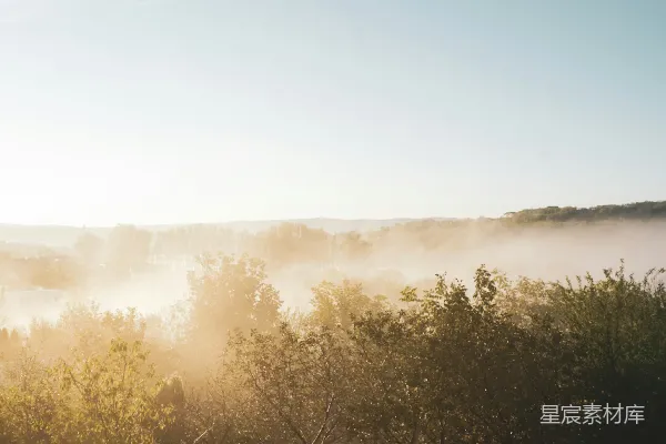 高清摄影 晨雾中的宁静景色