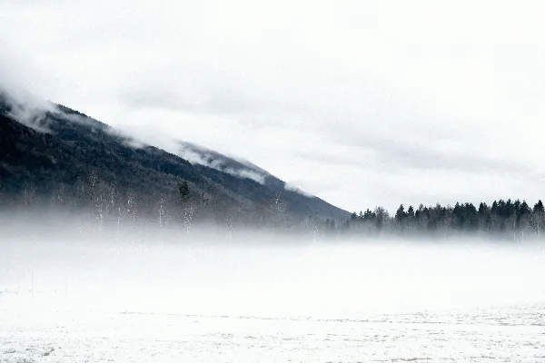 高清摄影 雪地山雾