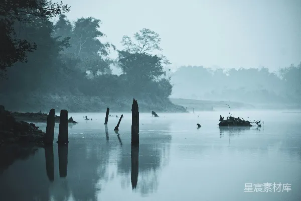 高清摄影 雾中的宁静湖景