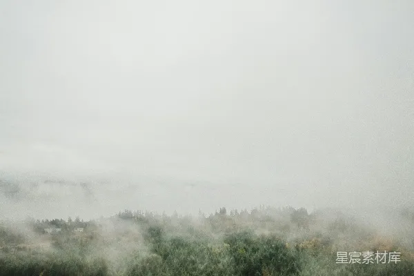 高清摄影 雾中的森林