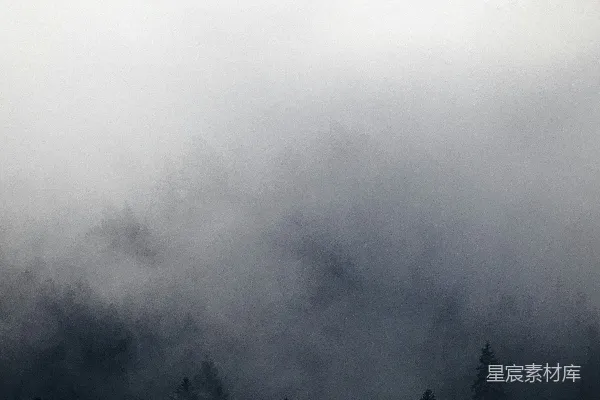 高清摄影 雾中的森林