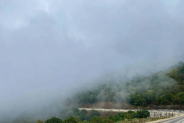 高清摄影 雾中山林