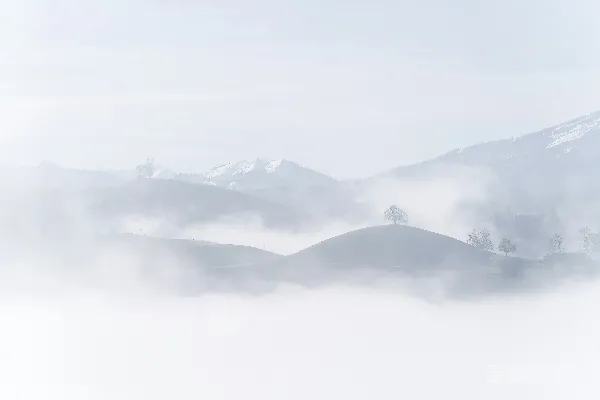 高清摄影 雾中的山丘与孤树