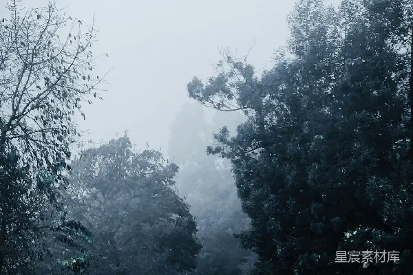 高清摄影 雾中的山路