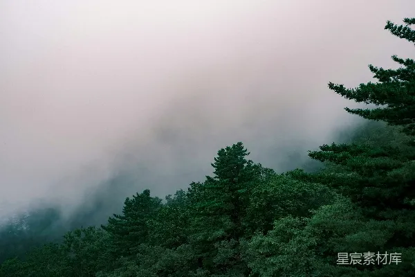 高清摄影 云雾缭绕的山林