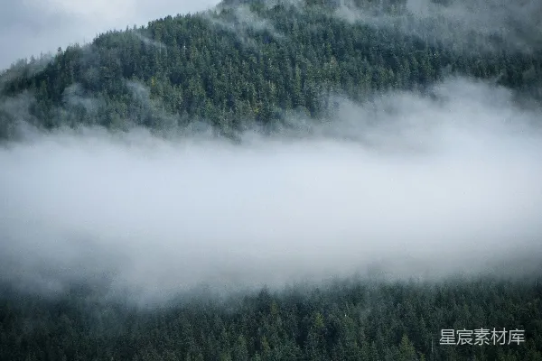 高清摄影 山林间的雾海