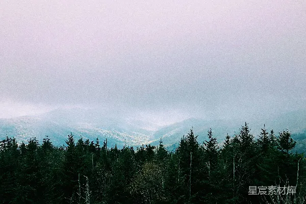 高清摄影 雾中森林与山脉