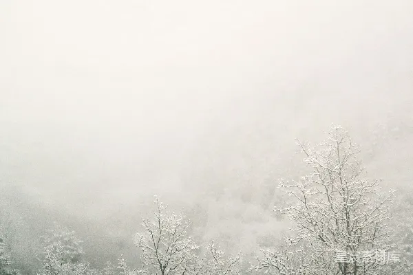 高清摄影 雾中冬景