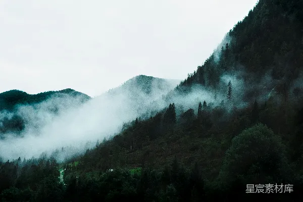 高清摄影 雾中森林