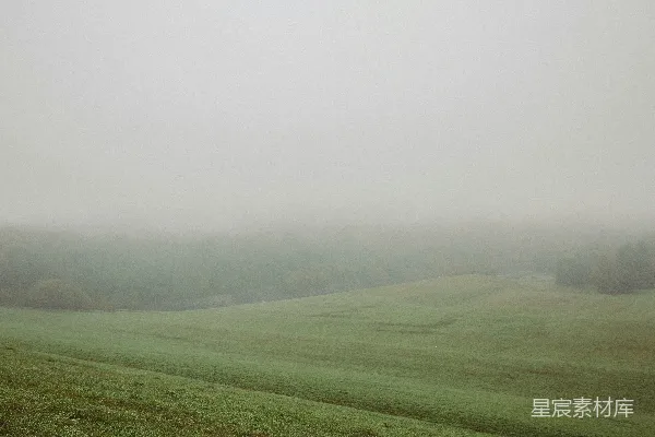 高清摄影 雾中的宁静田野